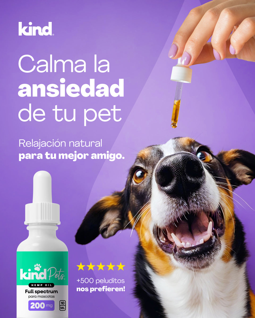 Aceite de CBD PETS - Calma y alivio para tu perrito