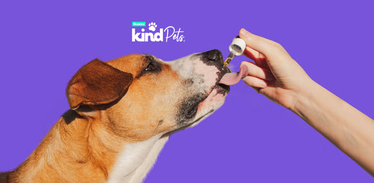 Kind Pets - Kind
