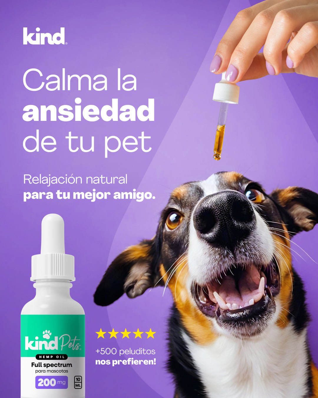 Aceite de CBD PETS - Calma y alivio para tu perrito - Kind - cbd_chile - aceite_cbd