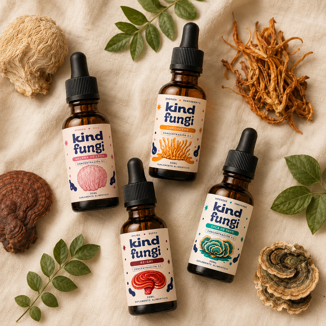 Pack Kind Fungi